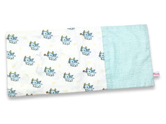 Beanie Pillow Baby Dragons