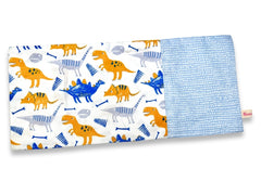 Beanie Pillow Paint Dino