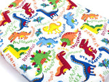 PRE-ORDER Minky Blanket Rainbow Dino